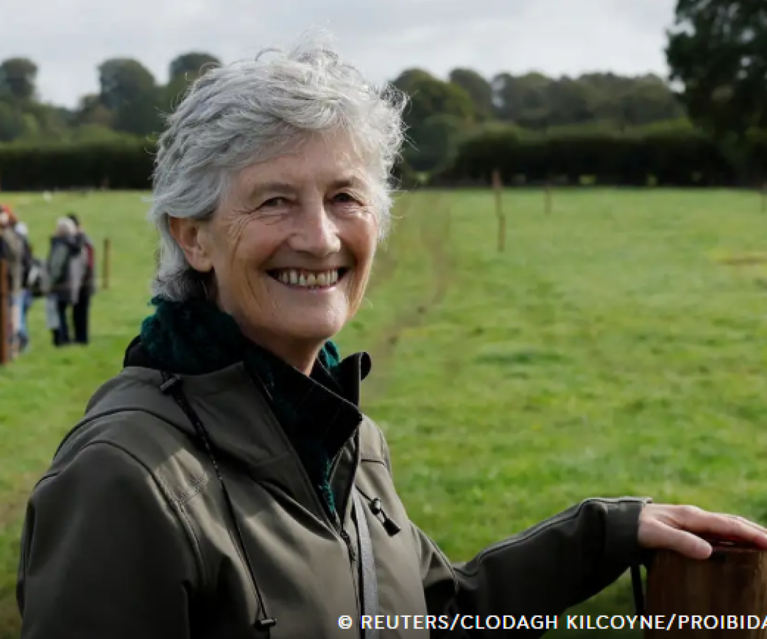 Captura de tela 2025-10-25 190248