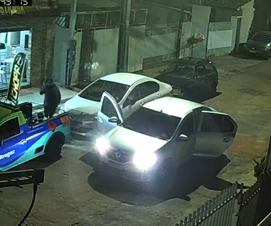 PCPR esclarece homicídio e prende três homens ligados a outros crimes em Curitiba e Litoral