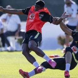 Casemiro-Endrick-Selecao-3-1-e1780541431885.jpg