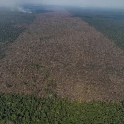 Desmatamento-em-Labrea-municipio-do-sul-do-Amazonas-Foto-Victor-Moriyama-Amazonia-em-Chamas-2021-2.j.webp