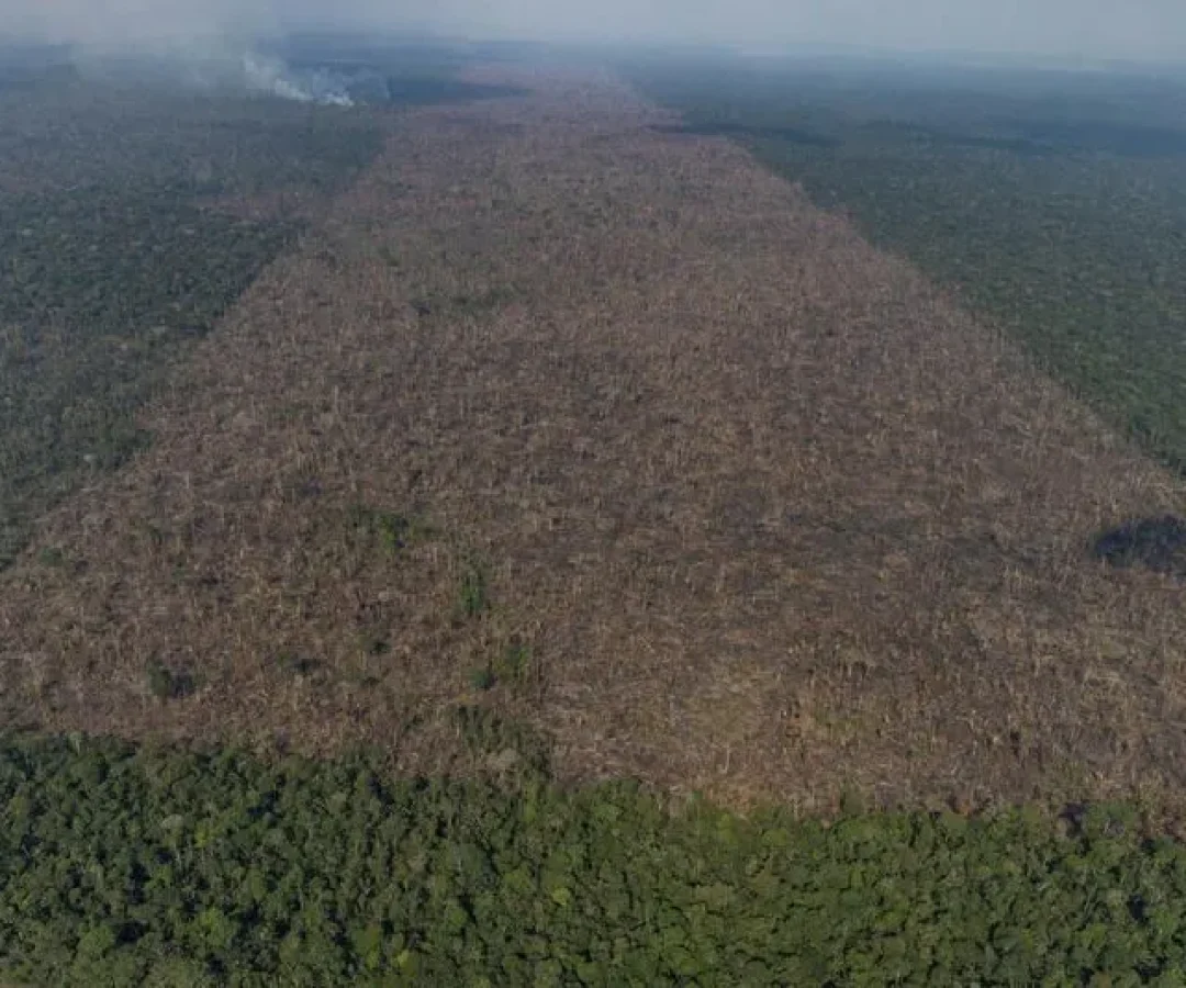 Desmatamento-em-Labrea-municipio-do-sul-do-Amazonas-Foto-Victor-Moriyama-Amazonia-em-Chamas-2021-2.j.webp