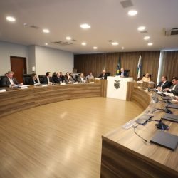 Investimento de R$ 1 bilhão em cirurgias eletivas é destaque de apresentação na Assembleia