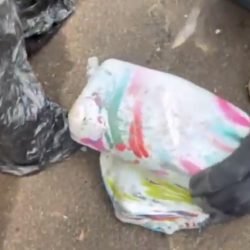 PRF apreende mais de 8 quilos de crack escondidos em carro na BR-277, em Guarapuava
