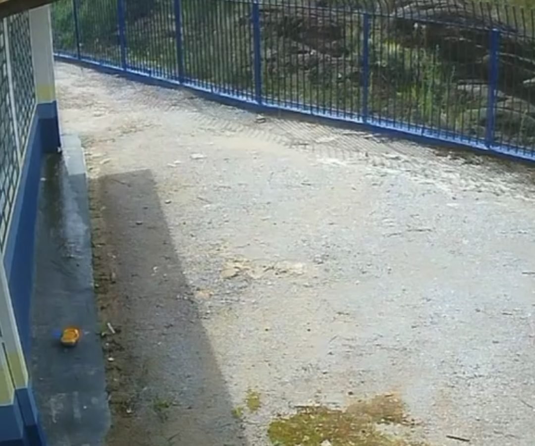 Polícia Civil prende suspeito de tentativa de homicídio qualificado em Castro