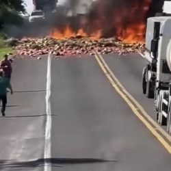 Colisão entre dois caminhões deixa um morto na PR-092