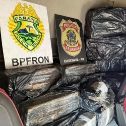 PF e BPFRON apreendem caminhão carregado com maconha em Cascavel