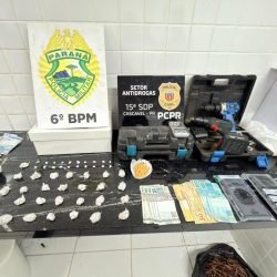 Cachorra Bersa localiza 500 pedras de crack em Cascavel