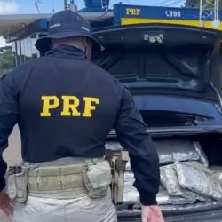 PRF apreende 120 quilos de skunk após fuga na BR-277