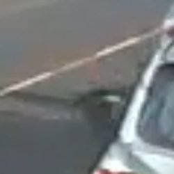 Vídeo mostra queda de veículo na rua Jorge Lacerda