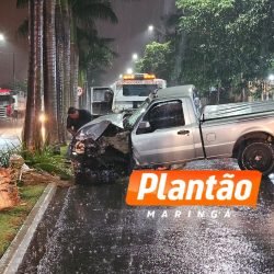 Três mulheres ficam feridas após carro colidir contra palmeiras em Maringá