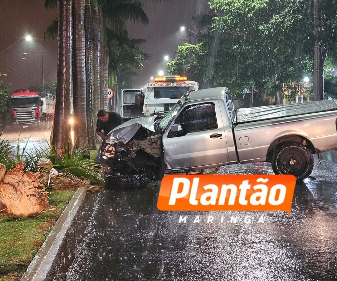 Três mulheres ficam feridas após carro colidir contra palmeiras em Maringá