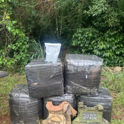 PF e BPFron apreendem 220 kg de agrotóxicos contrabandeados do Paraguai em Mercedes