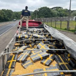 PRF apreende quase 2,5 toneladas de maconha em Guarapuava