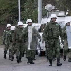 Japao-envia-tropas-para-combater-onda-de-ataques-de-ursos.jpg