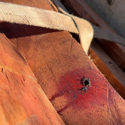 OP-TIMBER-SHIELD-1.png