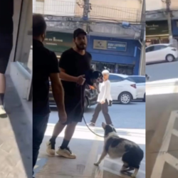 ROUBA-FILHOTE-PETSHOP.png