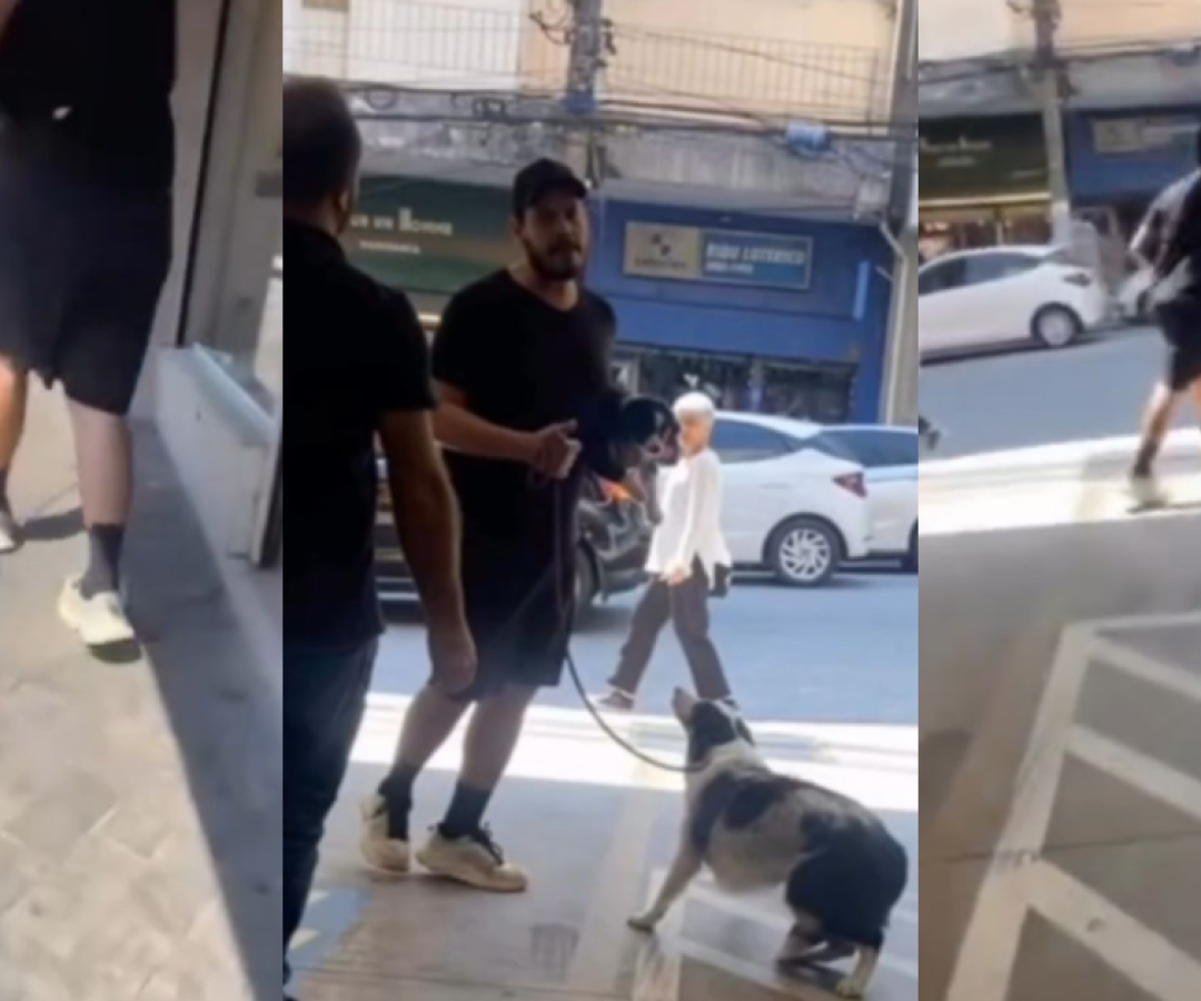 ROUBA-FILHOTE-PETSHOP.png