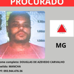 SIMULACAO-MOSCA-VIRTUAL-1.png
