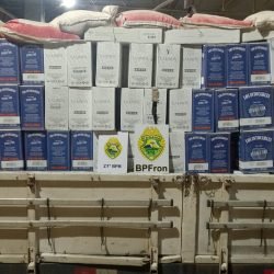 BPFRON apreende carga milionária de vinhos argentinos em Barracão