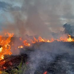Incêndio atinge área de vegetação no Jardim Veredas, em Cascavel