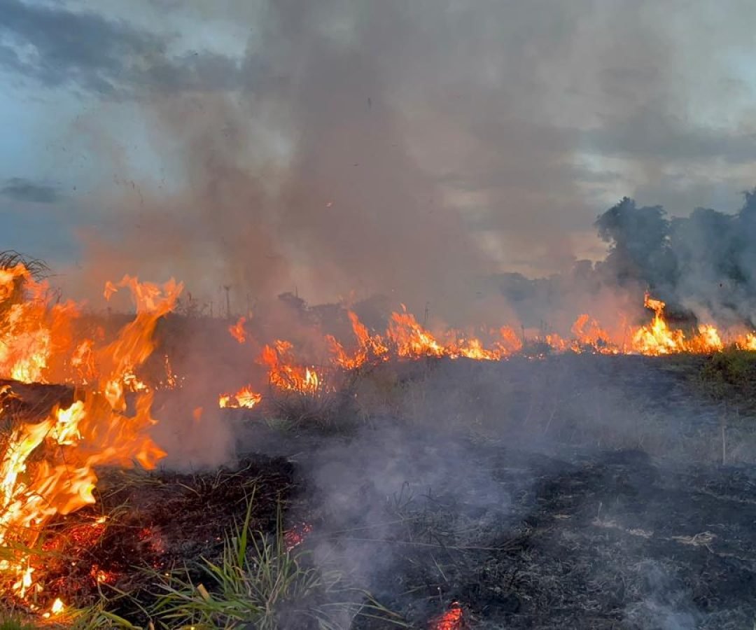 Incêndio atinge área de vegetação no Jardim Veredas, em Cascavel