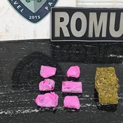 Guarda Municipal prende homem com cerca de 100 gramas de maconha no Terminal Leste, em Cascavel