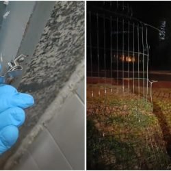 Adolescente é encaminhado à delegacia após ato de vandalismo na Praça CEU