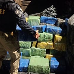 PRF apreende mais de 5 toneladas de maconha em Apucarana; motorista é preso