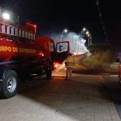 Incêndio em vegetação mobiliza Corpo de Bombeiros na Avenida Piquiri, em Cascavel