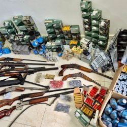 Polícia Civil deflagra Operação Arsenal e prende dois suspeitos por comércio ilegal de armas, munições e agrotóxicos em Ipiranga