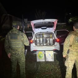 Ação integrada apreende mais de uma tonelada de maconha em Santa Helena e causa prejuízo milionário ao crime
