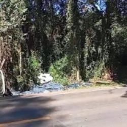 Acidente na PR-158 deixa quatro mortos entre Vitorino e São Lourenço do Oeste