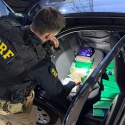 Ações da PRF resultam na apreensão de quase 1,3 tonelada de drogas e na recuperação de veículos adulterados