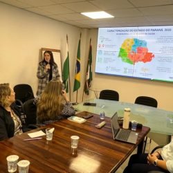 Padrão ouro em vigilância, Paraná apresenta monitoramento de síndromes gripais à União