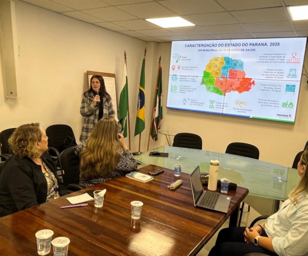 Padrão ouro em vigilância, Paraná apresenta monitoramento de síndromes gripais à União