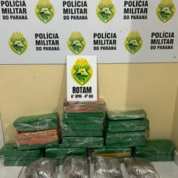 Adolescente é apreendido com 25 kg de maconha em ônibus na rodoviária de Santa Tereza do Oeste