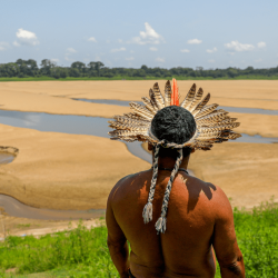 amazonas-indigena-seca.webp.png