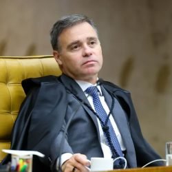 andre-mendonca-plenario.jpg