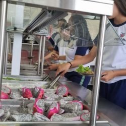 Pitaia amplia alimentação saudável nas escolas e fortalece agricultura familiar