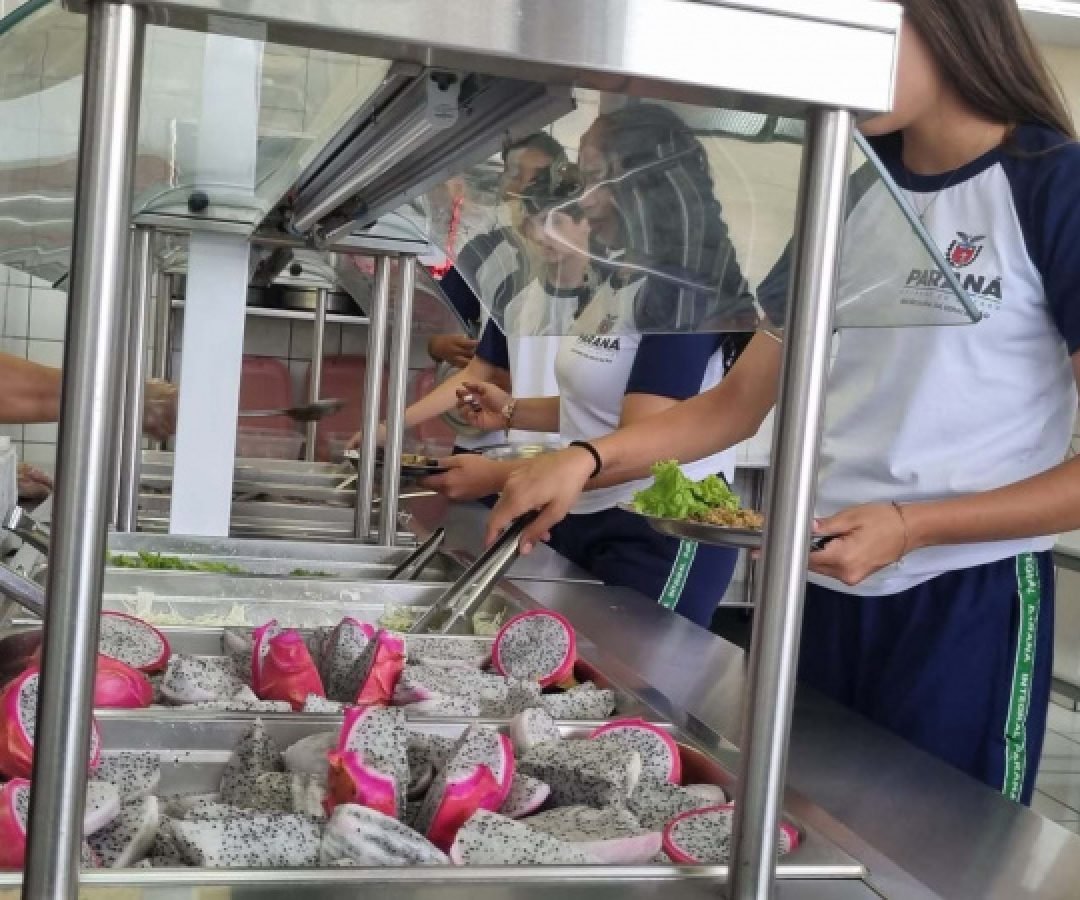 Pitaia amplia alimentação saudável nas escolas e fortalece agricultura familiar