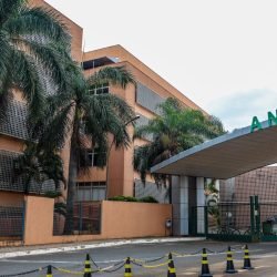 Anvisa aprova medicamento para crises de epilepsia farmacorresistente