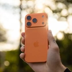 apple.jpeg