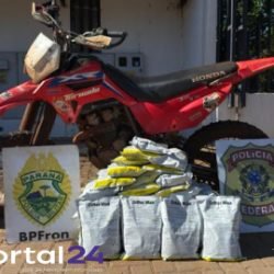 Apreensão de cigarros paraguaios e veículo é realizada por Polícia Federal e BPFRON em Guaíra