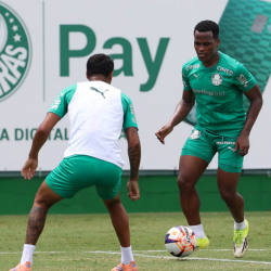 arias-palmeiras.jog_.png