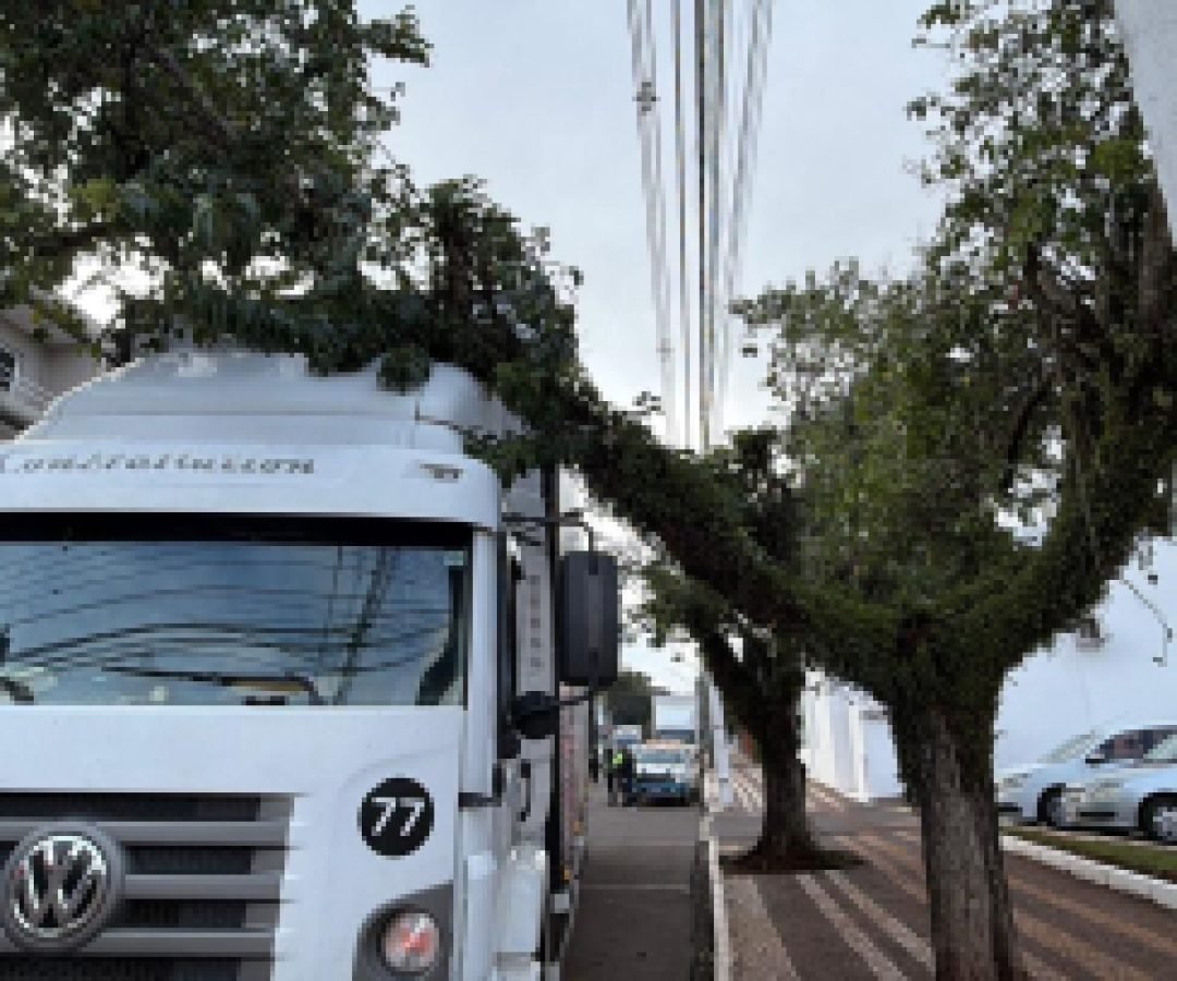 Árvore cai sobre caminhão no centro de Cascavel