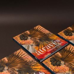 MON lança novos catálogos de exposições de Mariana Palma e Alberto Massuda