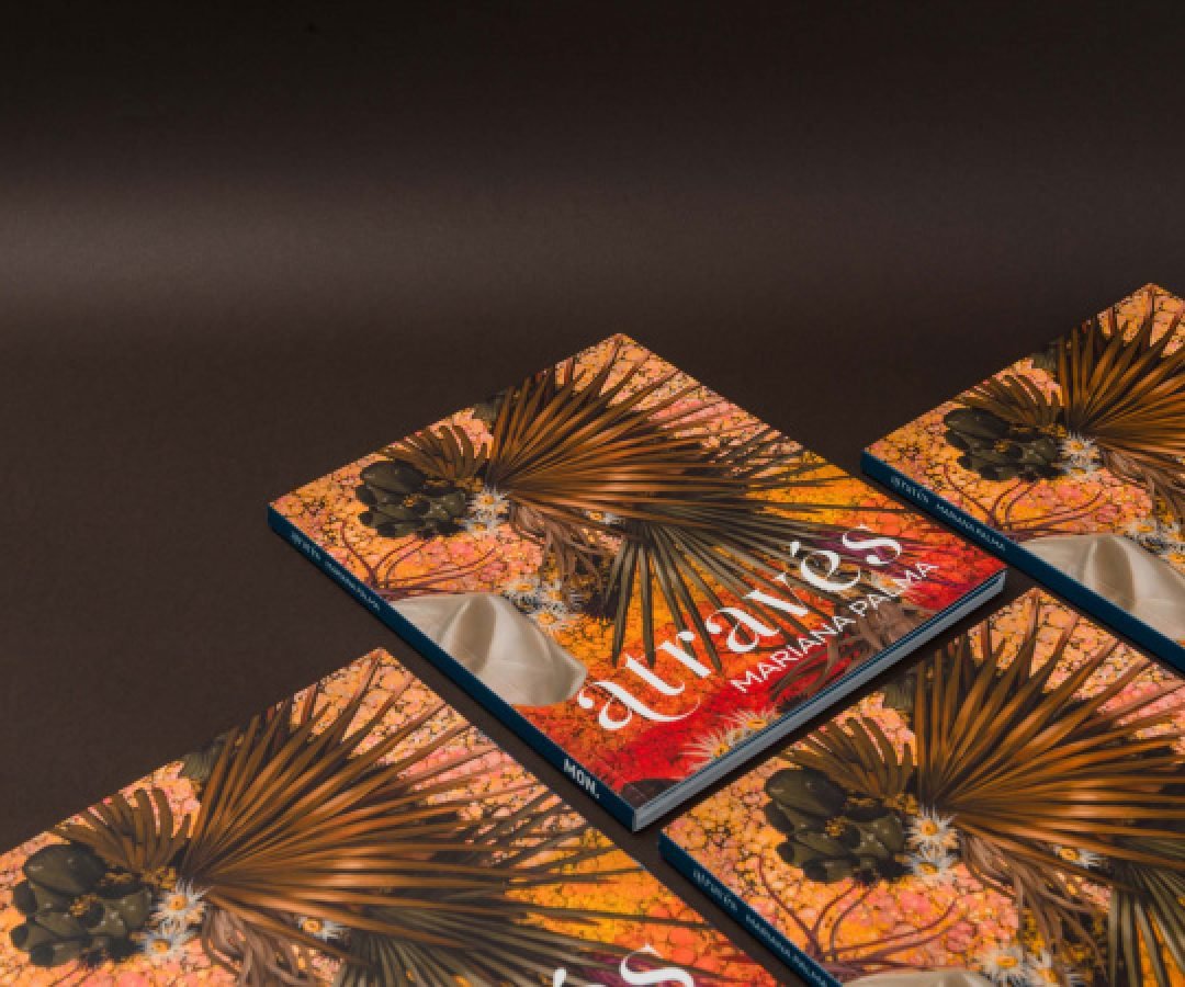 MON lança novos catálogos de exposições de Mariana Palma e Alberto Massuda