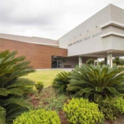 Biblioteca, museu e aquário são opções de entretenimento gratuito em Toledo