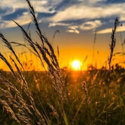 Monitor da ANA aponta avanço da seca fraca no Centro-Oeste do Paraná em fevereiro