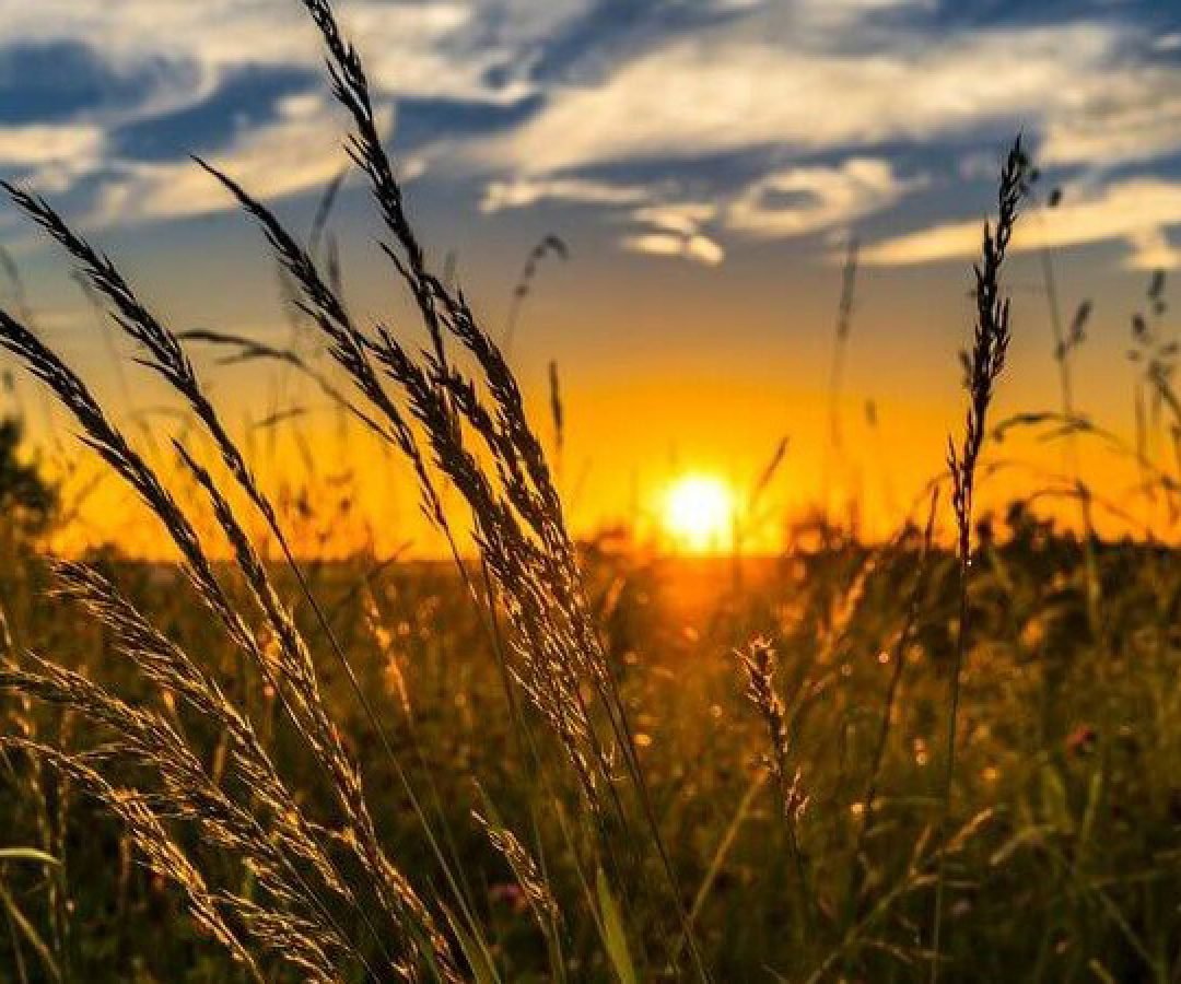 Monitor da ANA aponta avanço da seca fraca no Centro-Oeste do Paraná em fevereiro